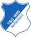 1899 Hoffenheim logo