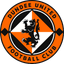 Dundee logo