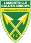 Golden Arrows logo