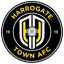 Harrogate Town logo