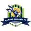 Marumo Gallants logo