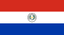 Paraguay logo