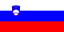 Slovenia logo