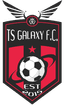 TS Galaxy logo