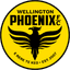 Wellington Phoenix logo
