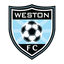 Weston-super-Mare logo
