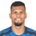 Rodrigues profile