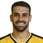 Felipe Vizeu profile