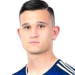 D. Štefulj profile