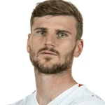 T. Werner profile