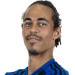 Y. Poulsen profile