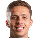 D. Orsi profile