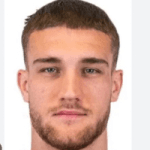 D. Bîrligea profile