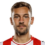 D. Piła profile