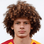 E. Yardımcı profile