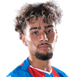 D. Meddah profile