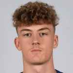 C. Brown profile