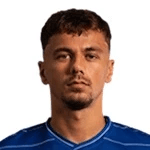 D. Špikić profile