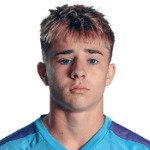 B. Knight profile