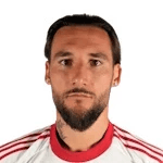 N. Gudelj profile
