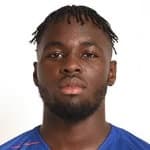 D. Simeu profile