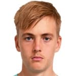 L. Bergström profile