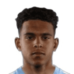 R. Borges Rodrigues profile