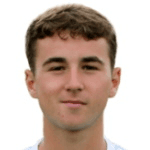 D. Martin profile
