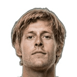 N. Vallys profile