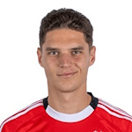 H. Sudakov profile
