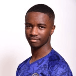 D. Rankine profile
