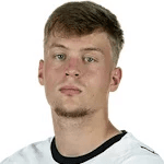 L. Netz profile