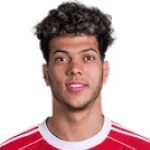 Emam Ashour profile