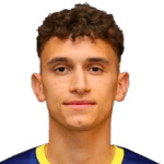 S. Mitrović profile