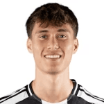 N. Savona profile