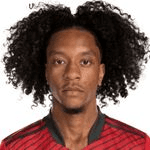J. Nelson profile