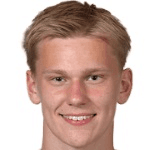 L. Sørensen profile