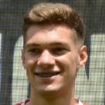 L. Sanseviero profile