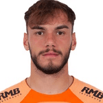 R. Sava profile
