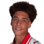 A. Witsel profile