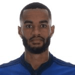 C. Nelson profile