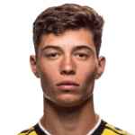 S. Berhalter profile