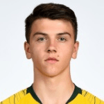 N. Botić profile
