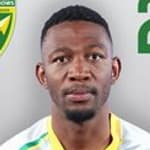N. Dlamini profile