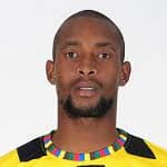 M. Buthelezi profile