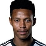 B. Zungu profile