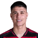 Luiz Araújo profile