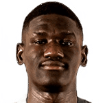 Zini profile