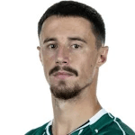 M. Friedl profile