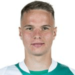 N. Schmidt profile